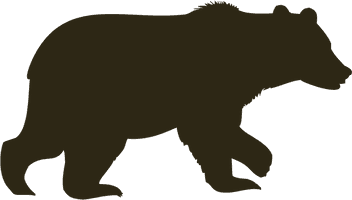 Wild Vector Bear PNG Free Photo