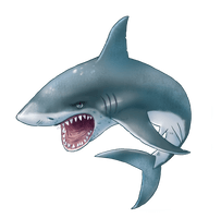 Shark Aquatic Nemo HQ Image Free - Free PNG