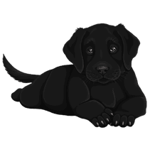 Puppy Black Labrador Dog HD Image Free - Free PNG