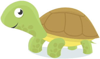 Turtle Green Download HQ - Free PNG