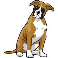 Vector Boxer Dog Free PNG HQ