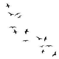 Of Flock Flying Birds Free HD Image - Free PNG