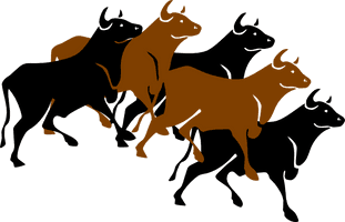 Vector Bull PNG Image High Quality