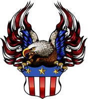 Eagle American PNG Free Photo