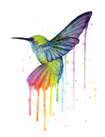 Watercolor Hummingbird Download HD - Free PNG