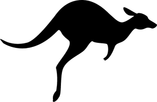 Photos Kangaroo Vector Free Download PNG HD