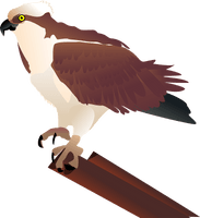 Eagle Sitting Free Download PNG HQ