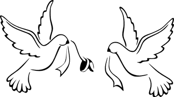 Love Pigeon Wedding Download HD - Free PNG