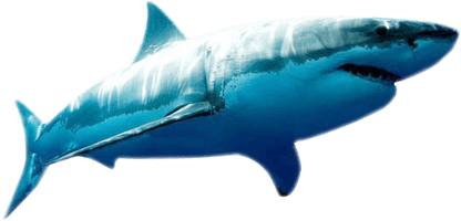 Blue Megalodon Shark PNG Download Free