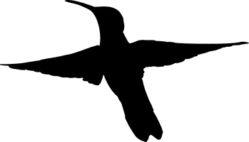 Flying Black Hummingbird Free Transparent Image HD - Free PNG