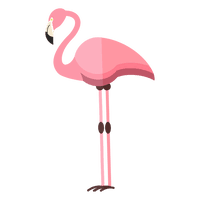 Standing Flamingo Bird Vector PNG File HD