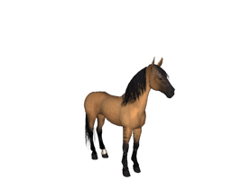 Farm Horse Morgan Free HQ Image - Free PNG