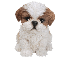 Shih Puppy Tzu Free HD Image - Free PNG