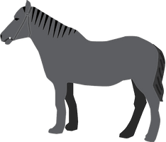 Arabian Horse Vector HD Image Free - Free PNG