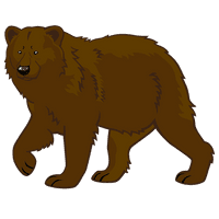 Vector Bear Free HD Image - Free PNG