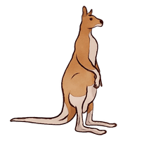 Wallaby Kangaroo Free PNG HQ