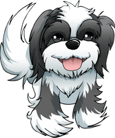 Shih Pic Tzu Free HQ Image - Free PNG