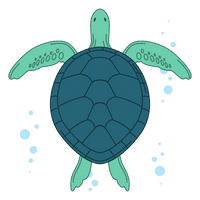 Turtle Photos Coral HQ Image Free - Free PNG