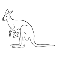 Kangaroo Joey HQ Image Free - Free PNG