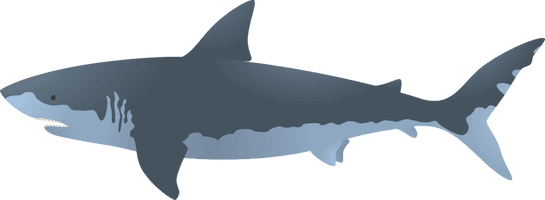 Big Shark Megalodon Free Clipart HD - Free PNG