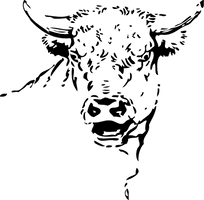 Vector Bull Face Free Transparent Image HQ - Free PNG