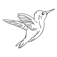 Photos Flying Black Hummingbird Free Photo - Free PNG