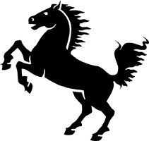 Photos Horse Morgan Free Transparent Image HQ - Free PNG