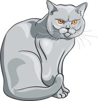 Vector Cat PNG File HD