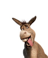 Funny Donkey Free HD Image - Free PNG