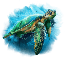 Turtle HQ Image Free - Free PNG