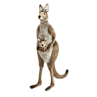 Wallaby Kangaroo Picture Download HD - Free PNG