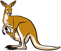 Kangaroo Vector Pic Free HQ Image - Free PNG