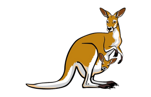 Kangaroo Joey Free HD Image - Free PNG