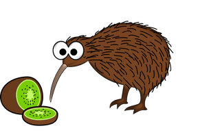 Kiwi Bird PNG Free Photo