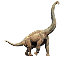 Brachiosaurus Image Free HD Image - Free PNG