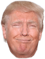 United Trump Cheek Face States Donald Party - Free PNG