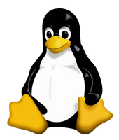 Tux Racer Linux Unix Penguin PNG Download Free