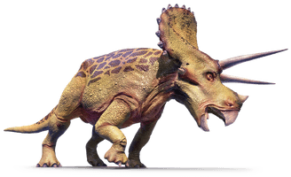 Triceratop Image Free Clipart HD - Free PNG