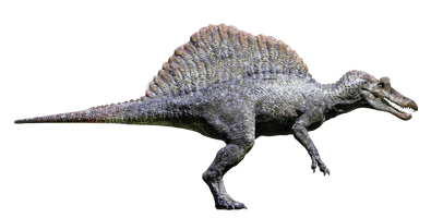 Spinosaurus Download Free Image - Free PNG