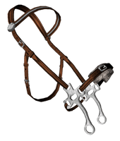 Sims Seasons Horse Tack Bridle Free Download PNG HQ