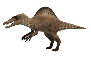 Spinosaurus HD Image Free PNG