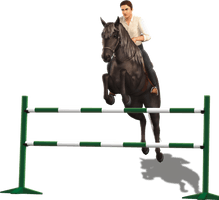 Sims Horse Show Jumping Pets English Riding - Free PNG