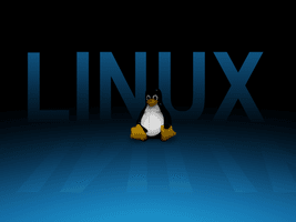 Tux Wallpaper Desktop Linux Resolution Display Penguin - Free PNG