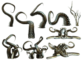 Octopus Tentacles HQ Image Free PNG