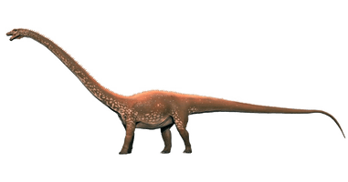 Diplodocus Free Download PNG HQ