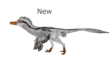 Velociraptor Tycoon Animals Zoo Dinosaur Duck Extinct - Free PNG