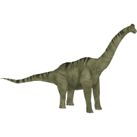 Brachiosaurus Free Download PNG HD