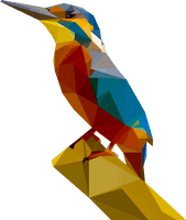 Kingfisher Image PNG File HD