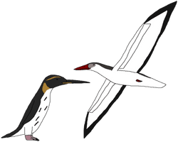 Ocean Birds Picture PNG Free Photo