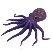 Octopus Image HQ Image Free PNG